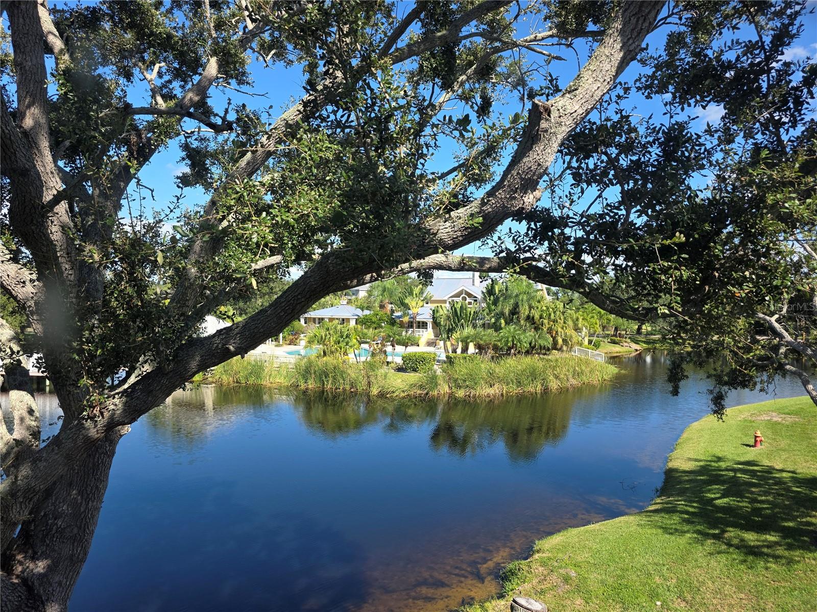 Image 3 of 43 For 115 112th Avenue Ne 1028