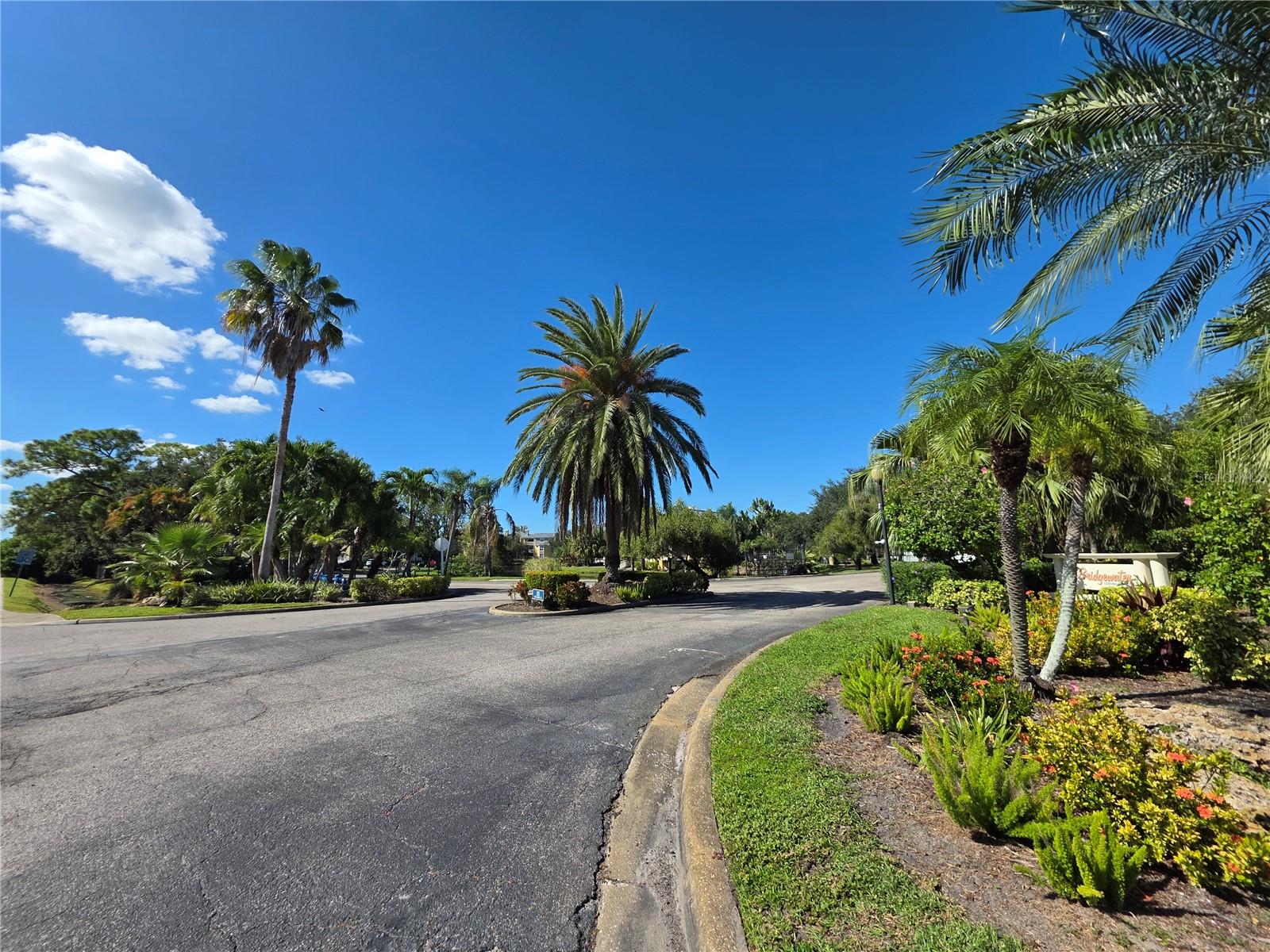 Image 42 of 43 For 115 112th Avenue Ne 1028