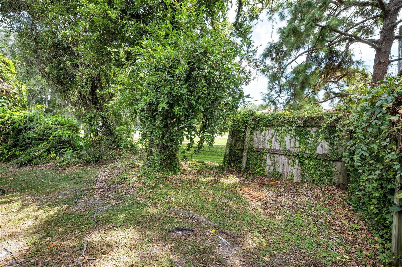 Image 39 of 47 For 1890 Wolford Road 3