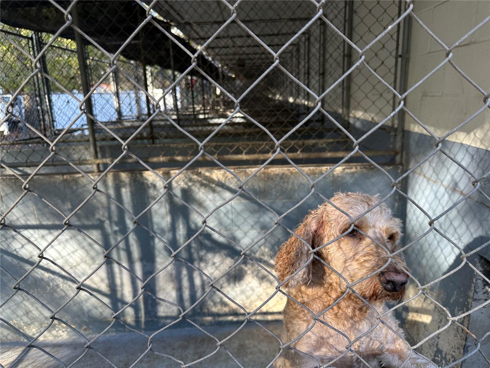 Image 23 of 58 For 24392 Lanark Road