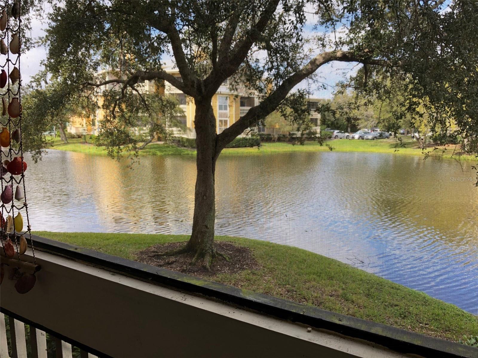 Image 11 of 11 For 115 112th Avenue Ne 104