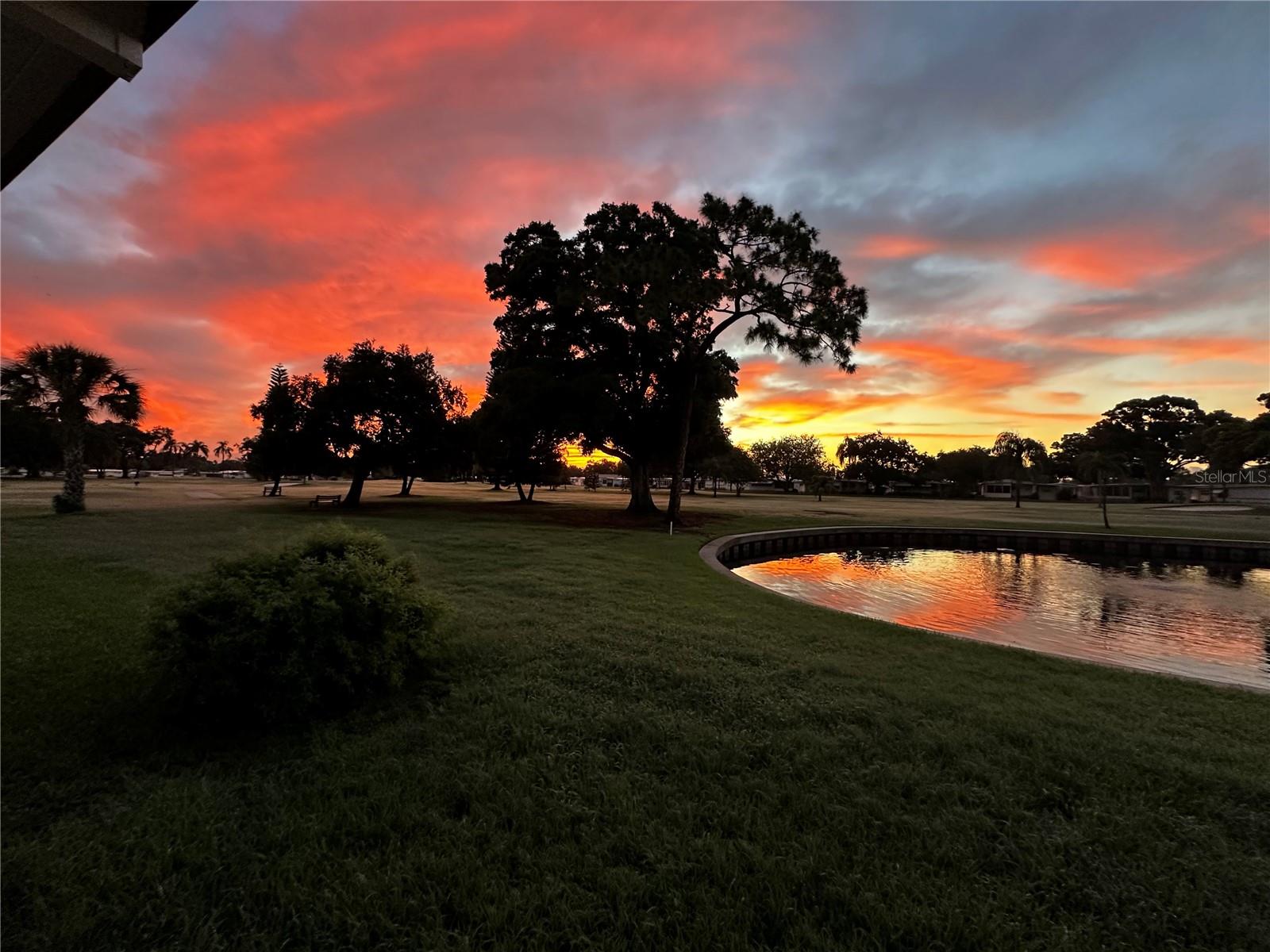 Image 42 of 56 For 1100 Belcher Road S 523