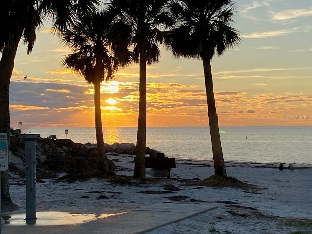 Image 29 of 29 For 1031 Anclote Drive