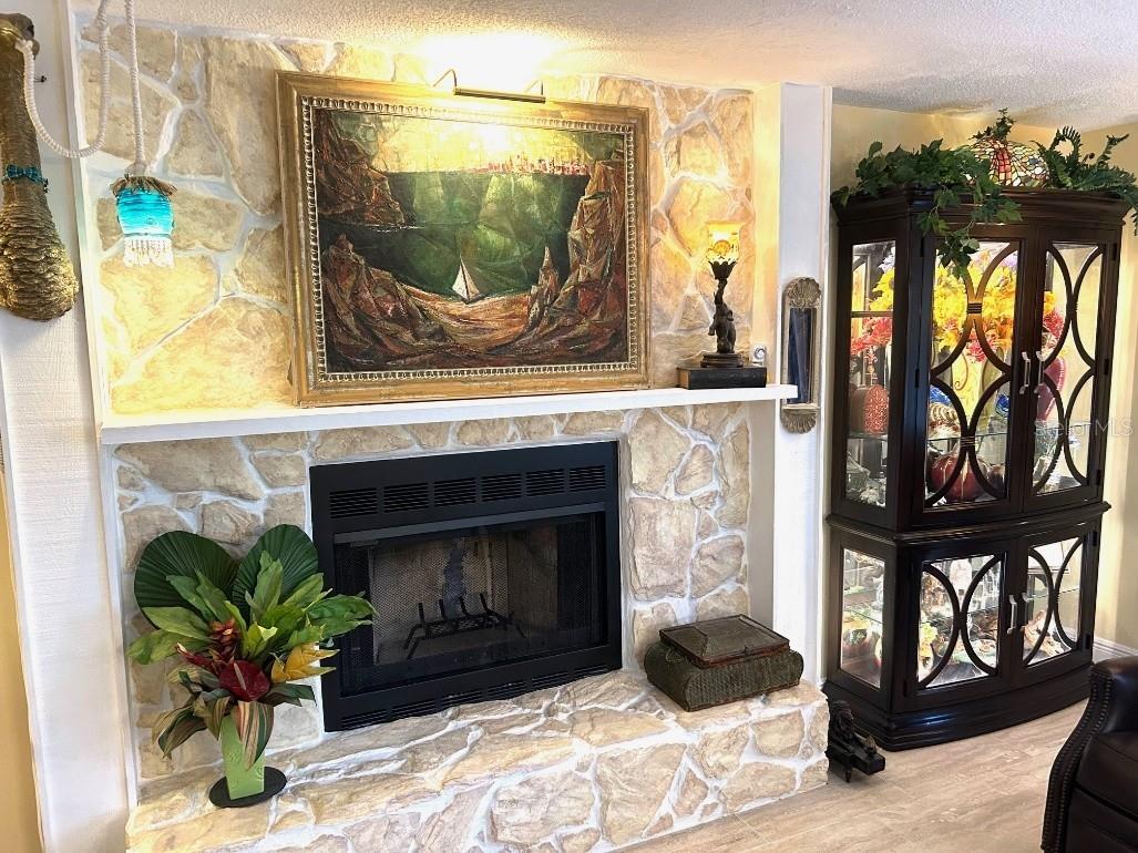 Image 6 of 29 For 1031 Anclote Drive