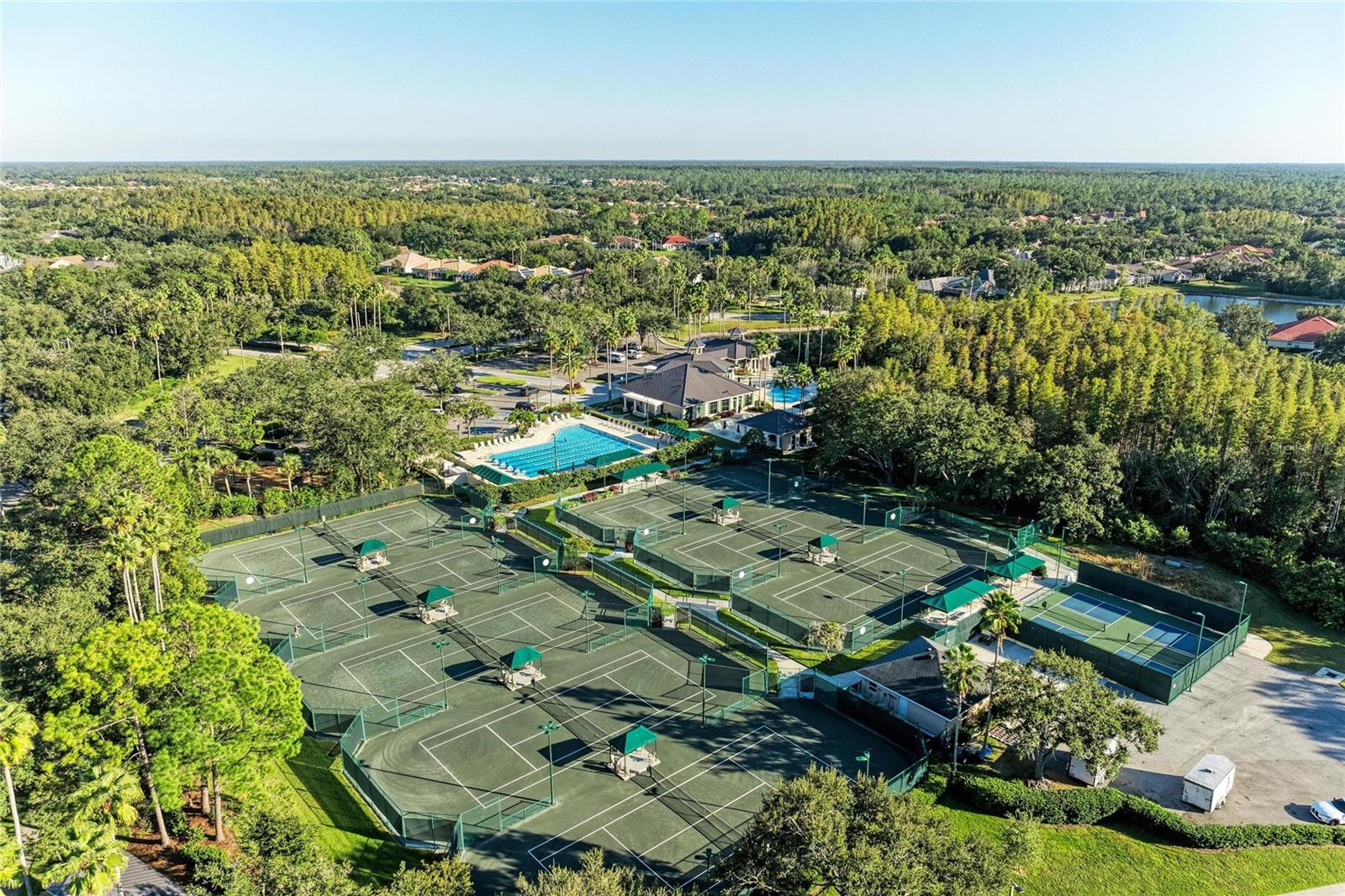 Listing photo id 51 for 17823 Arbor Creek Drive