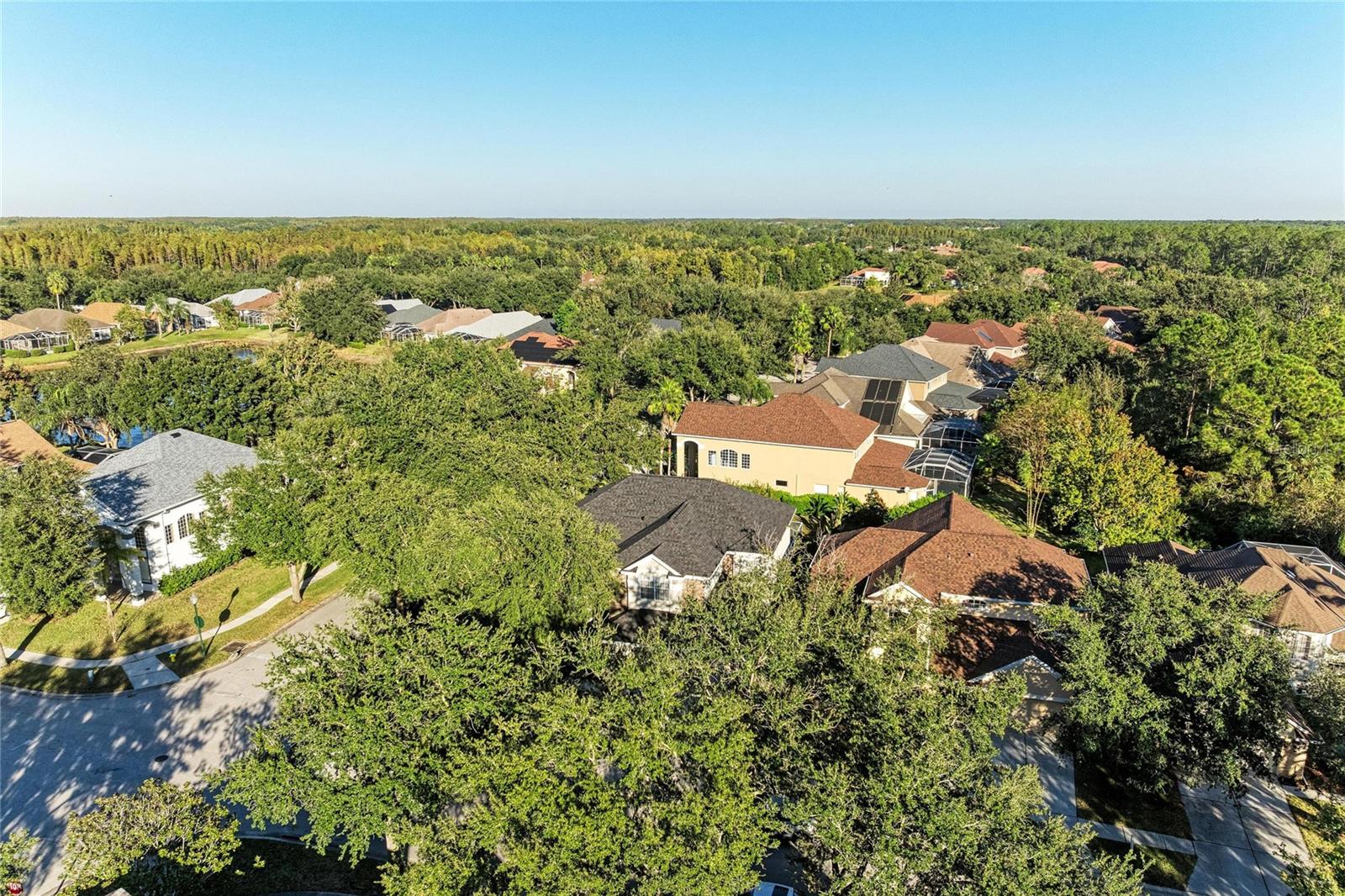 Listing photo id 55 for 17823 Arbor Creek Drive