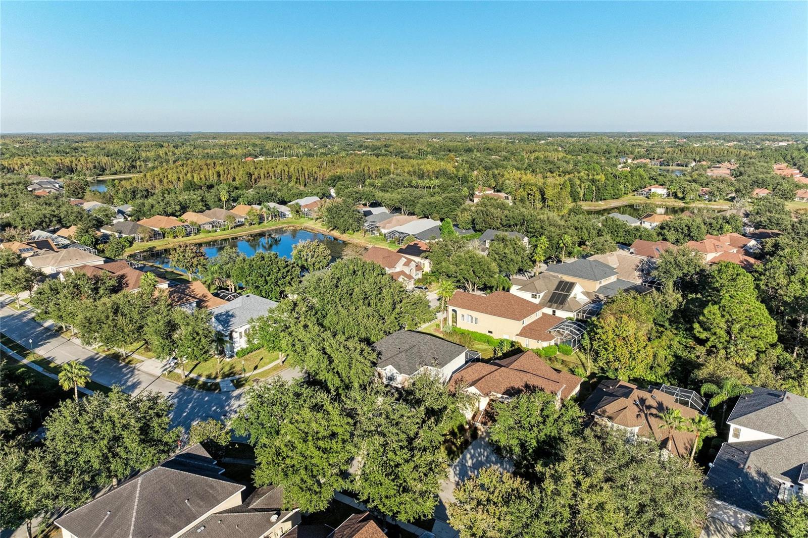 Listing photo id 61 for 17823 Arbor Creek Drive