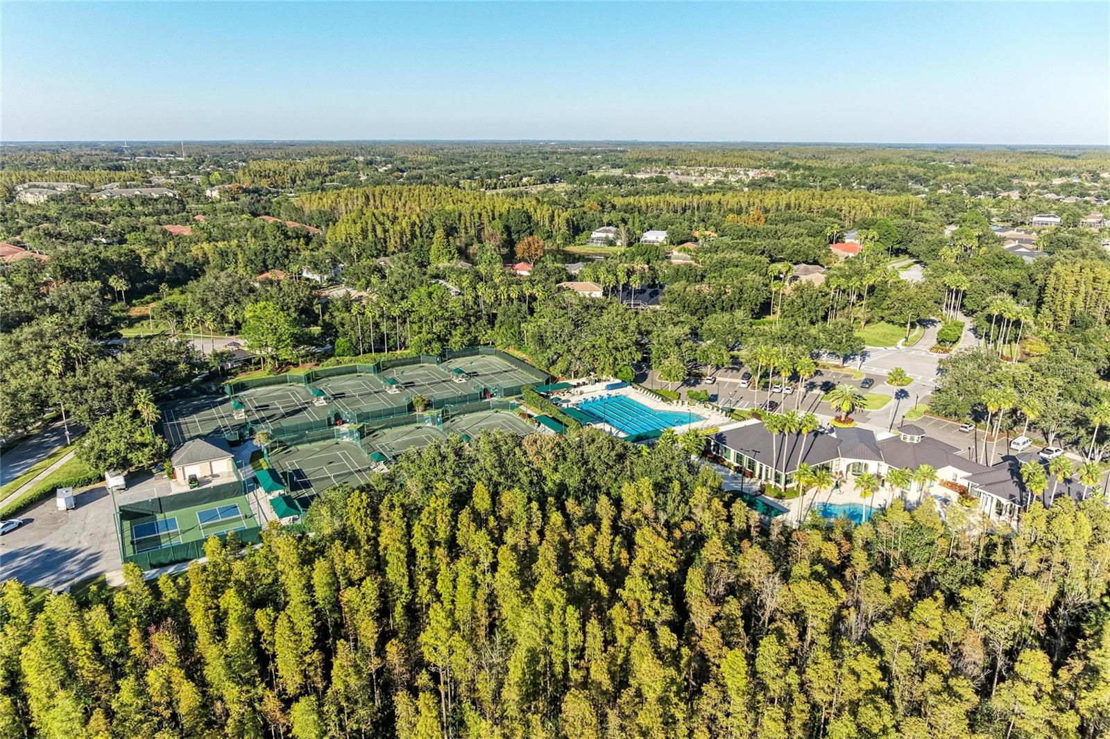 Listing photo id 62 for 17823 Arbor Creek Drive