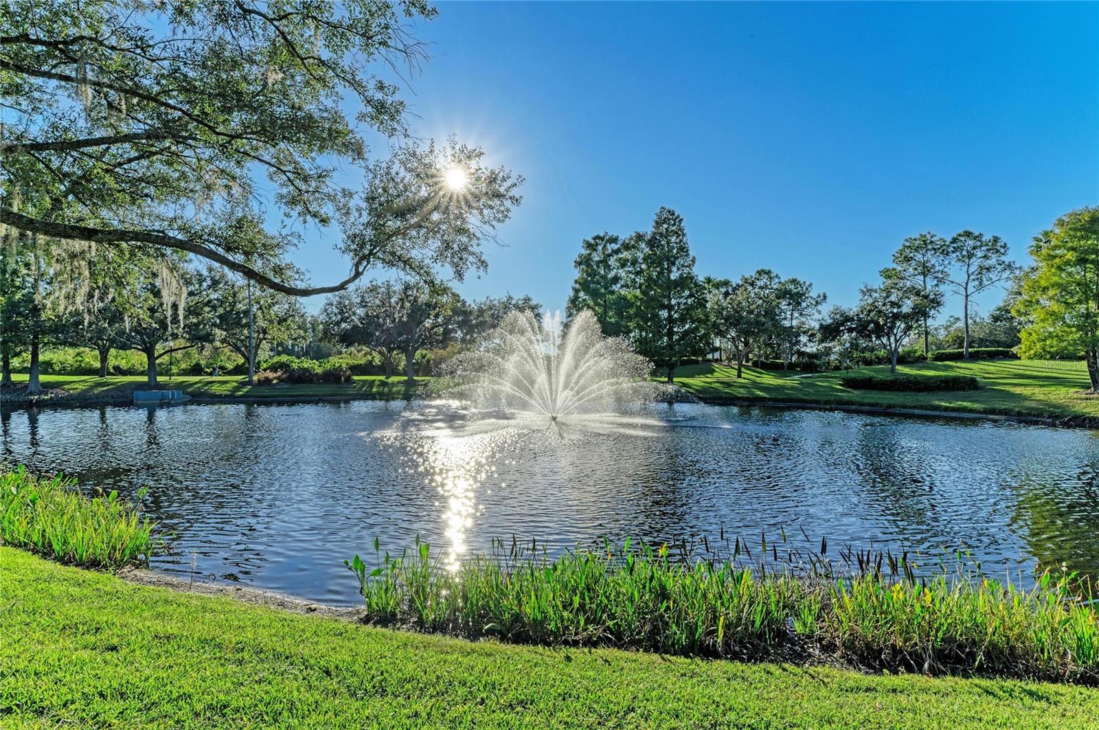 Listing photo id 63 for 17823 Arbor Creek Drive