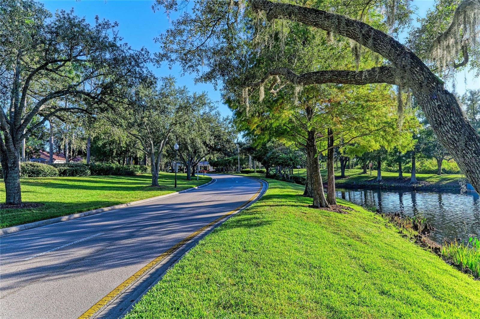 Listing photo id 65 for 17823 Arbor Creek Drive