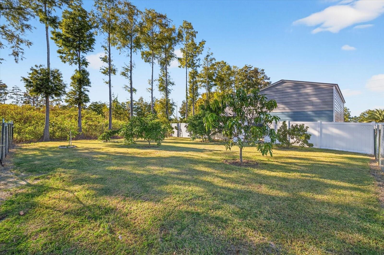 Image 69 of 84 For 3914 Sligh Avenue