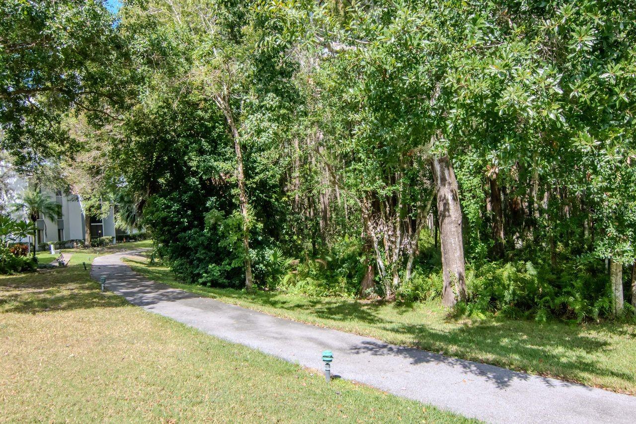 Image 29 of 33 For 1258 Pine Ridge Circle W G1