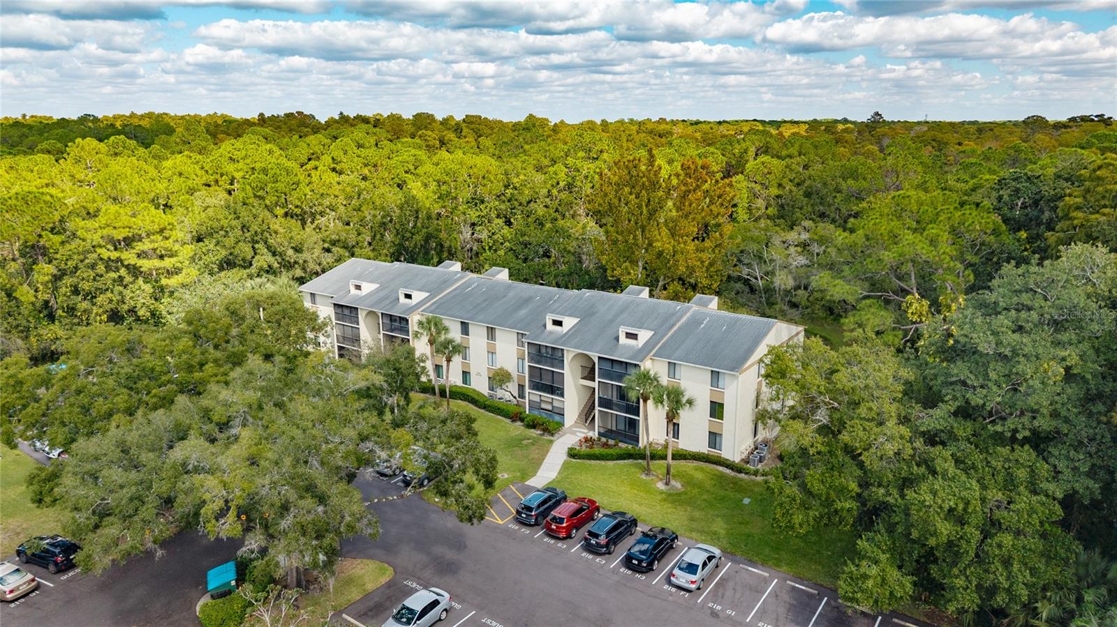 Details for 3232 Lake Pine Way E F2, TARPON SPRINGS, FL 34688