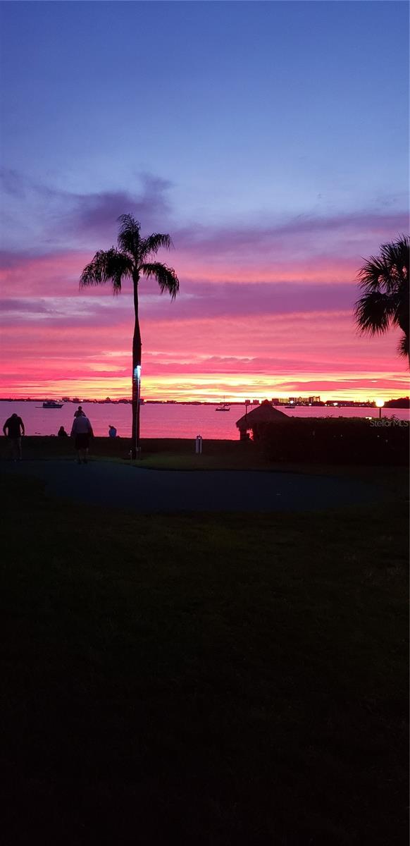 Details for 3595 41st Lane S B, ST PETERSBURG, FL 33711