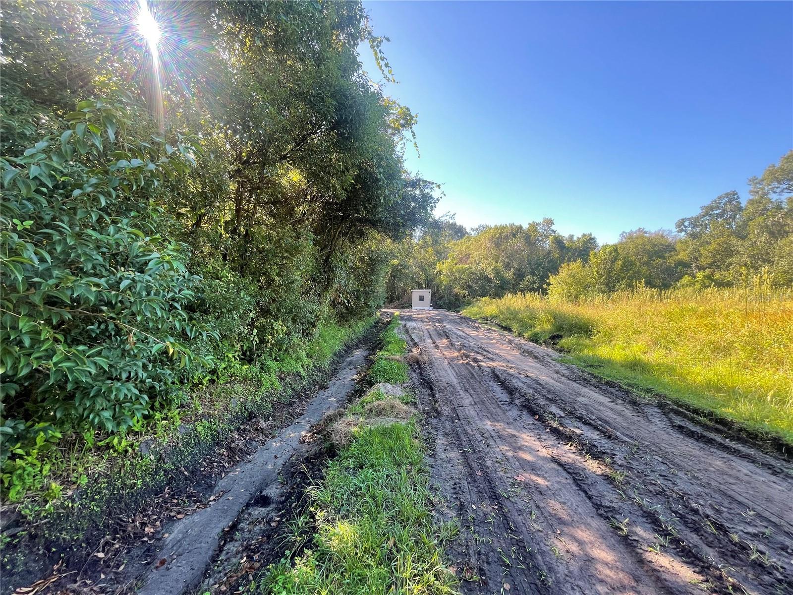 Listing photo id 0 for Pevetty Drive