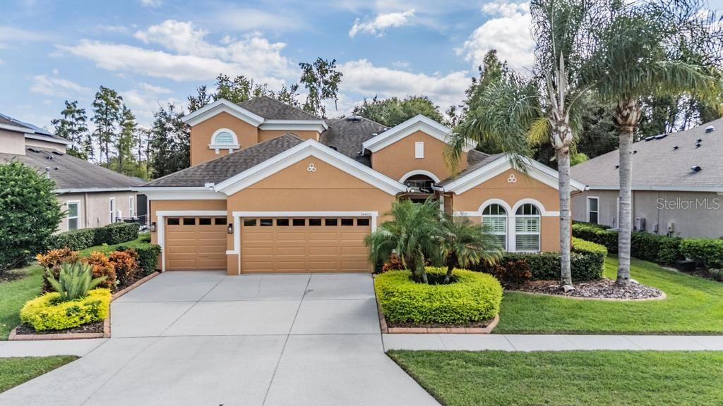 Details for 19402 Autumn Chase Court, LAND O LAKES, FL 34638
