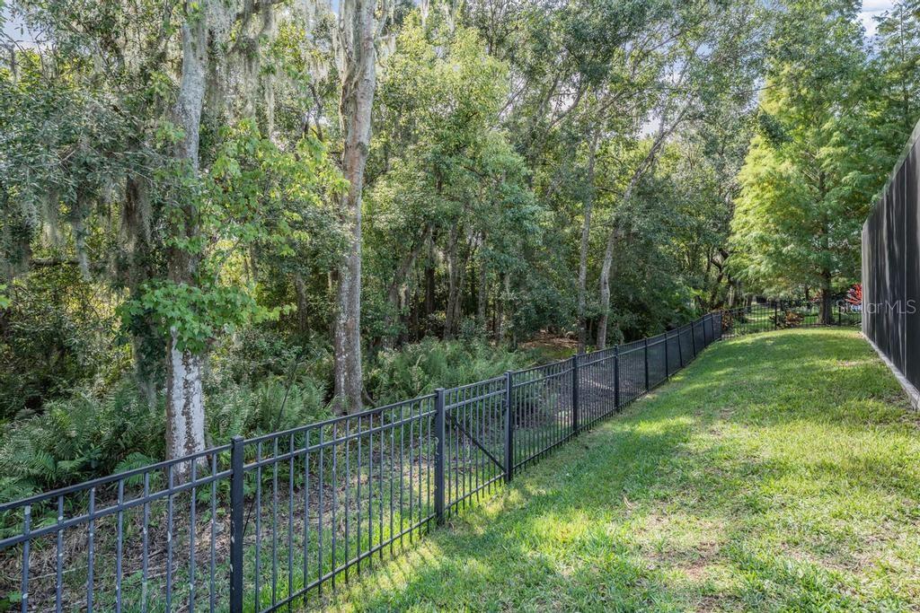 Image 44 of 68 For 19402 Autumn Chase Court