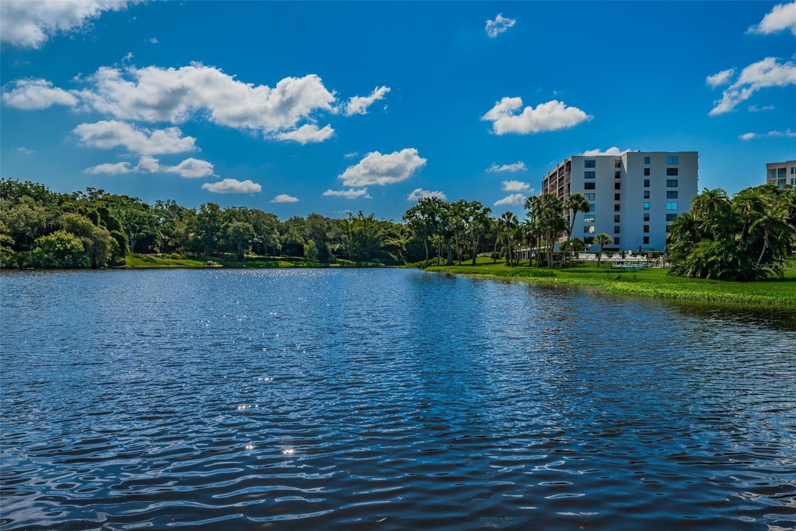 Image 3 of 46 For 220 Belleview Boulevard 305
