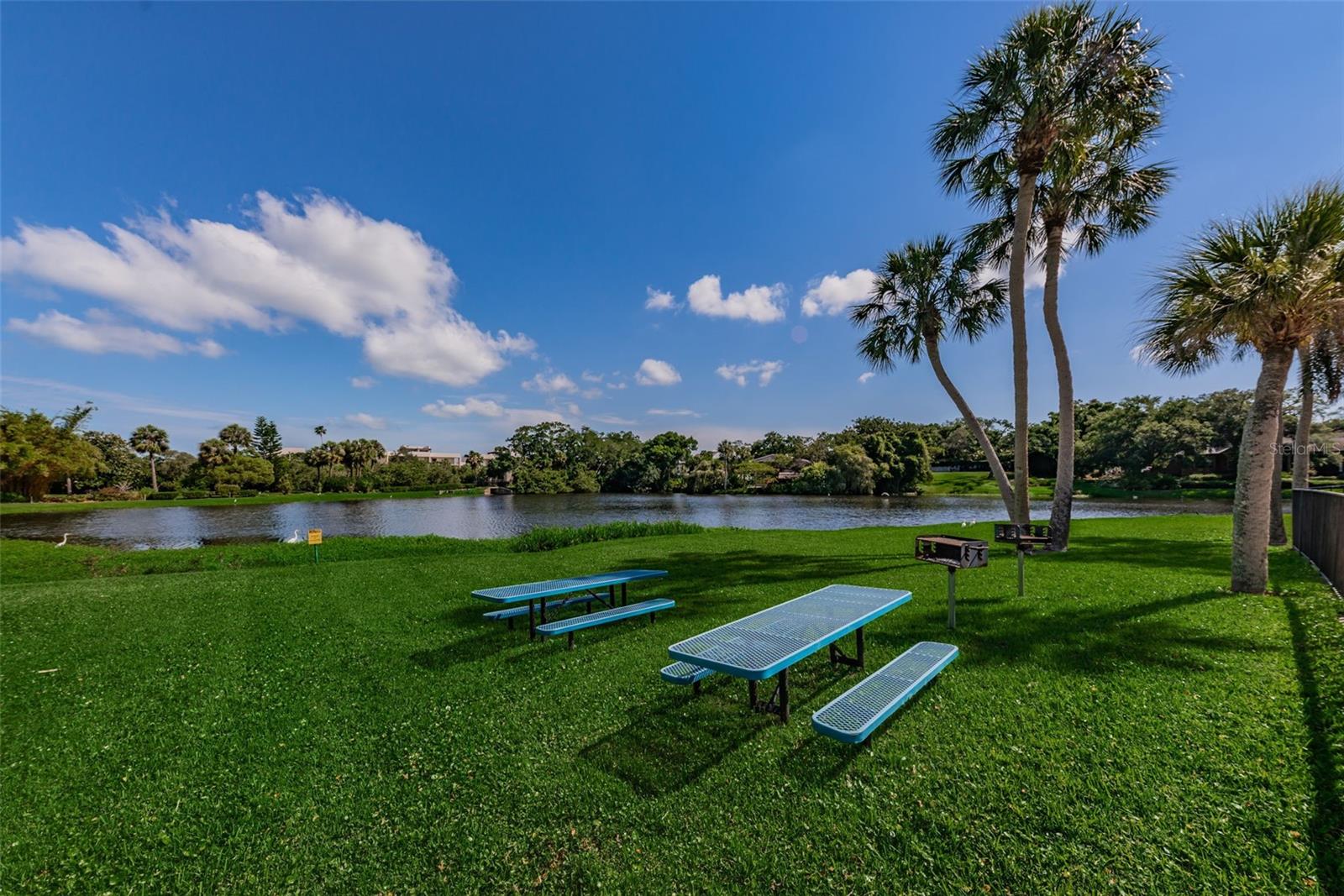 Image 30 of 46 For 220 Belleview Boulevard 305