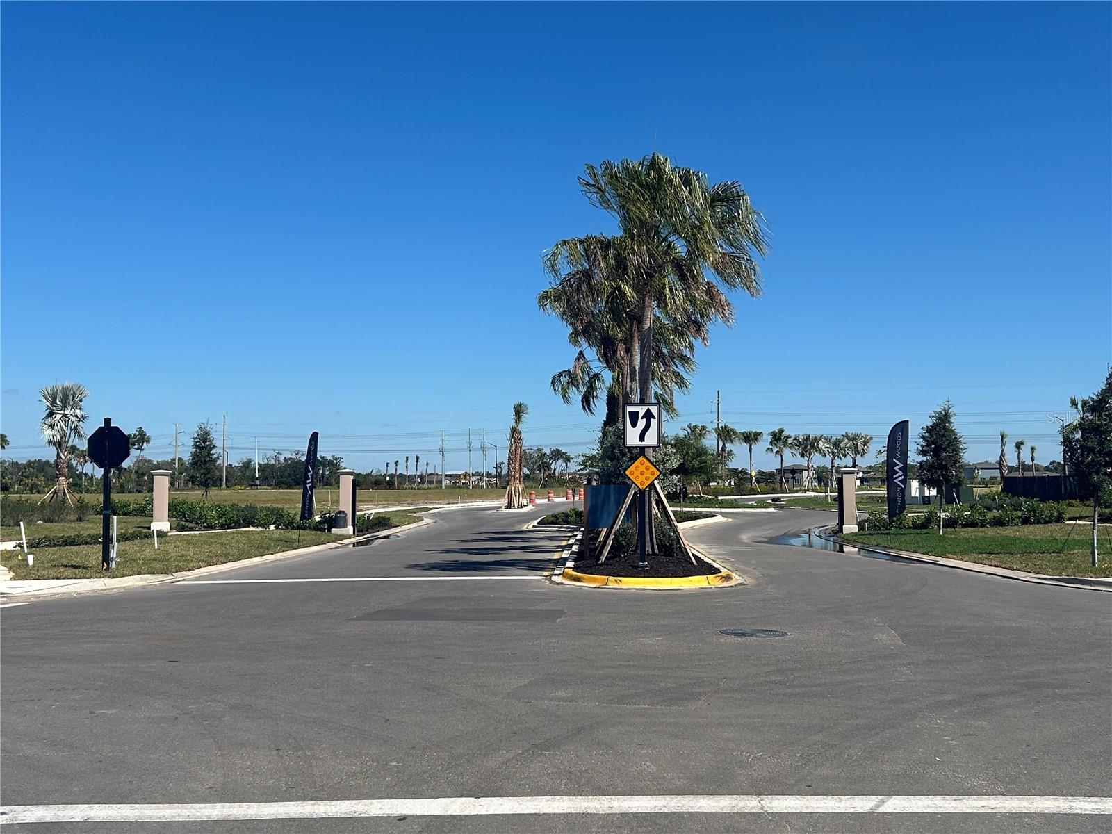 Image 39 of 39 For 10179 Hidden Hammock Loop