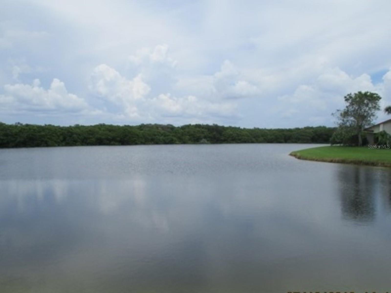 Image 53 of 68 For 14764 Feather Cove Lane