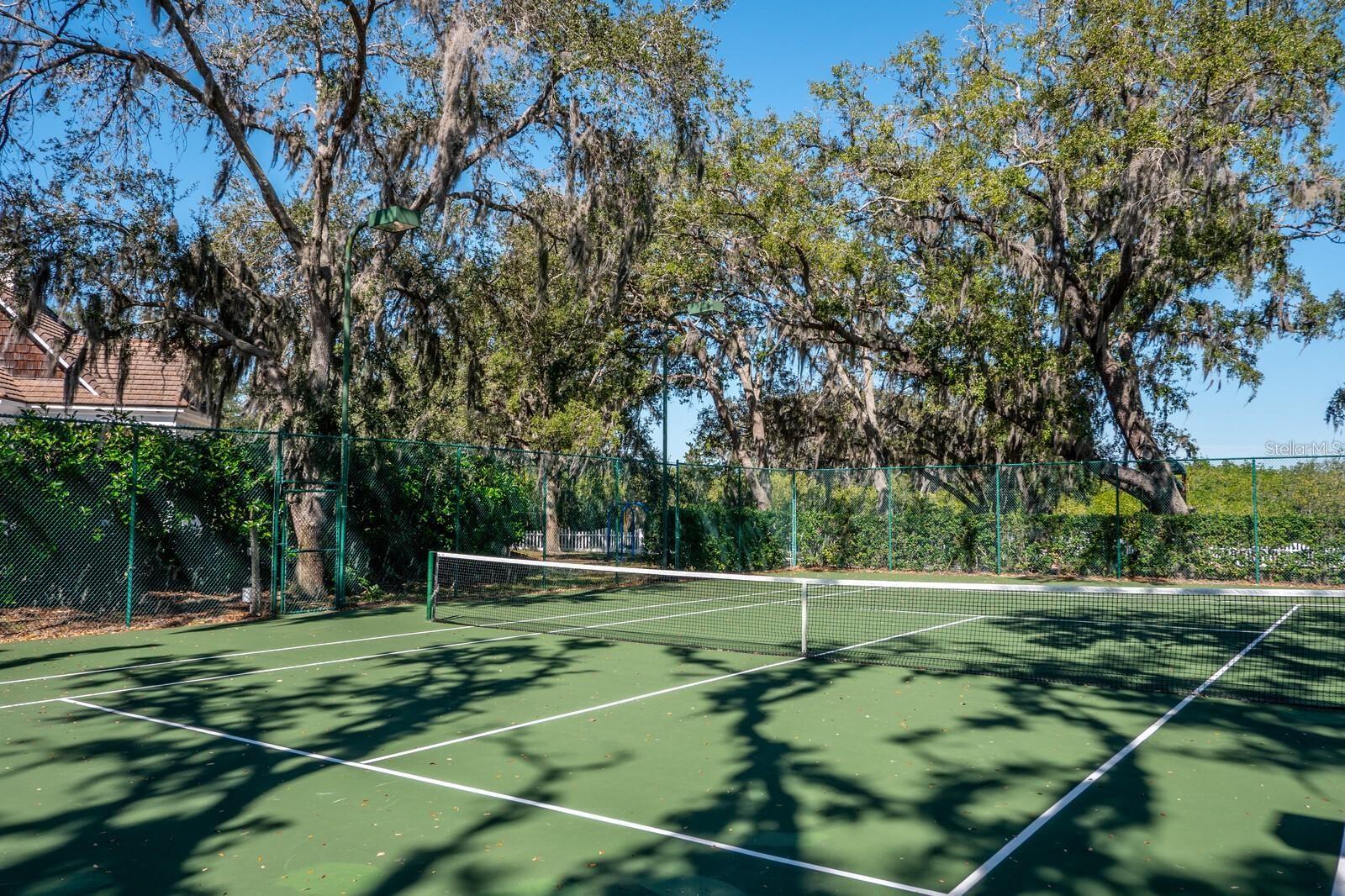 Image 65 of 65 For 4611 Shark Drive