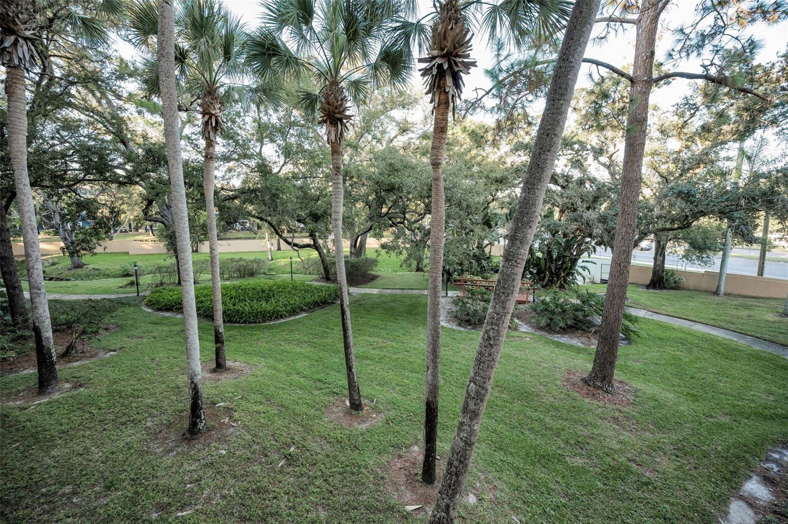 Image 23 of 85 For 3062 Eastland Boulevard 105