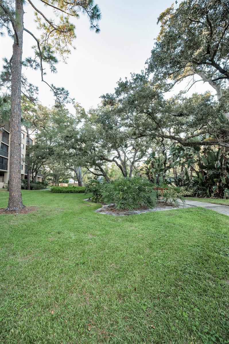 Image 55 of 85 For 3062 Eastland Boulevard 105