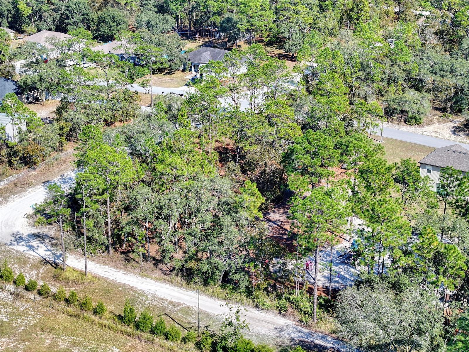 Image 12 of 20 For 10484 Snowbird Avenue