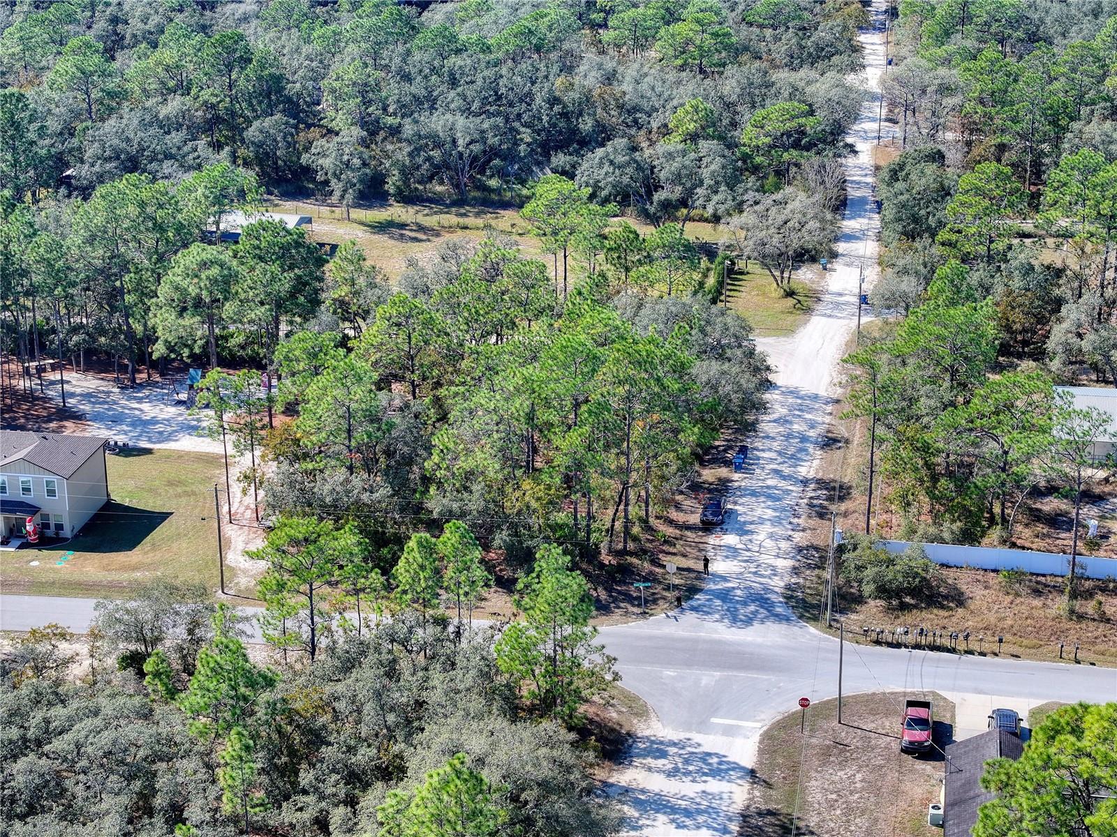 Image 6 of 20 For 10484 Snowbird Avenue