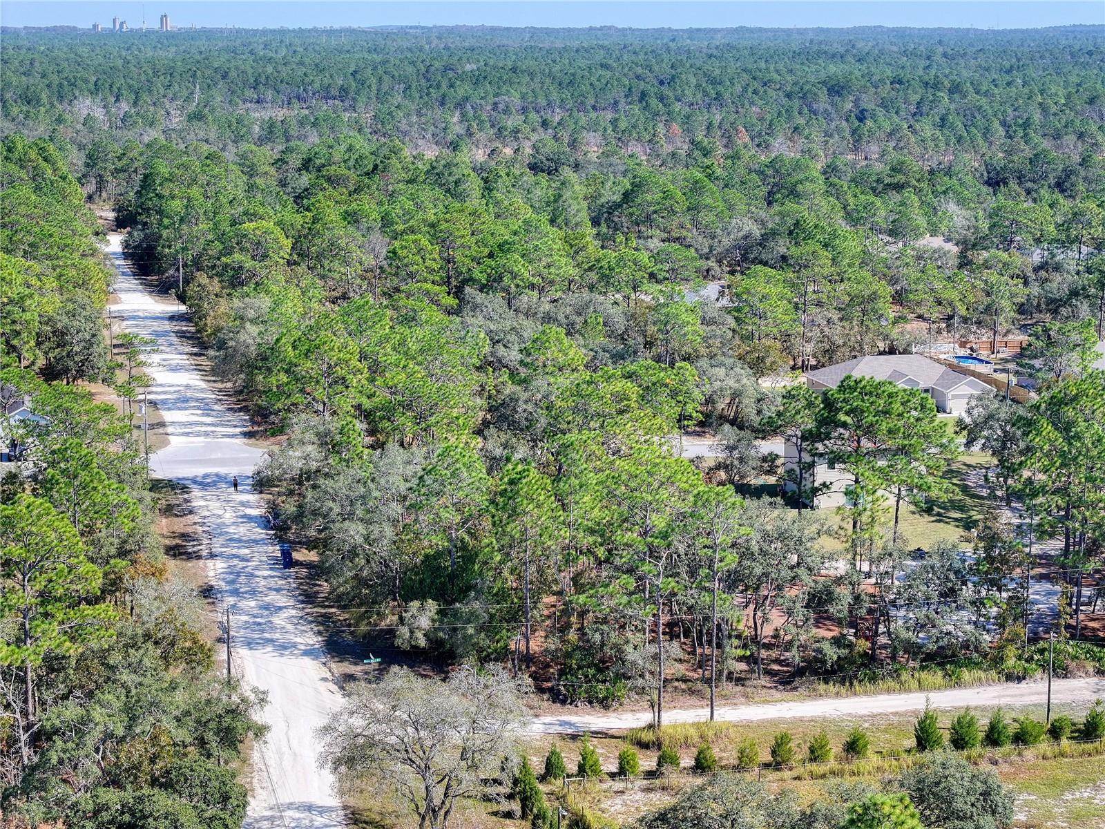 Image 8 of 20 For 10484 Snowbird Avenue