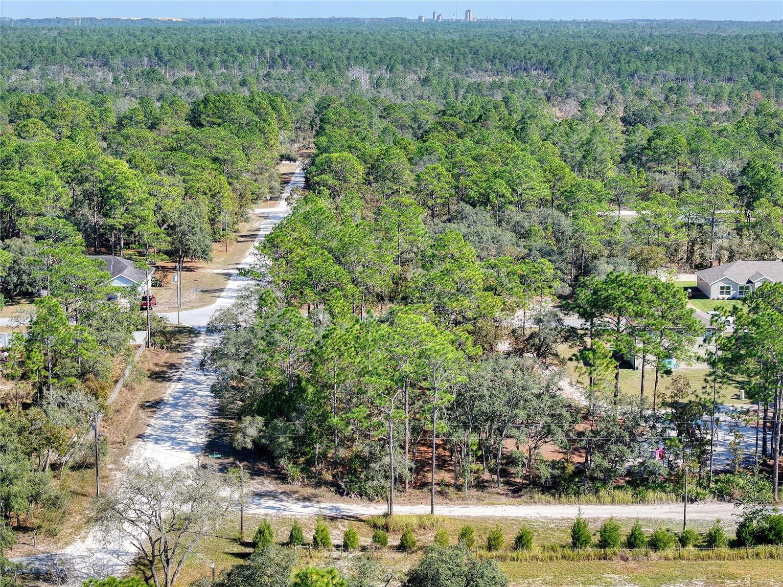 Image 9 of 20 For 10484 Snowbird Avenue