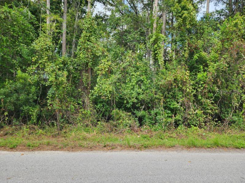 Image 2 of 9 For 0 Huntley Street