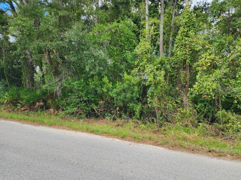 Image 4 of 9 For 0 Huntley Street