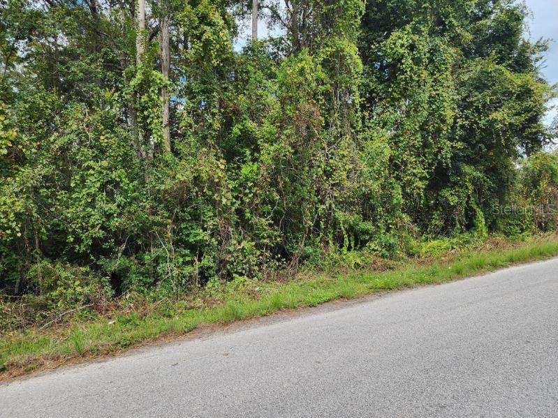 Image 6 of 9 For 0 Huntley Street