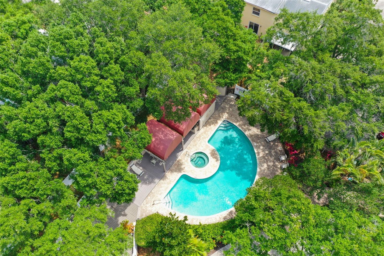 Image 25 of 32 For 3211 Swann Avenue 903