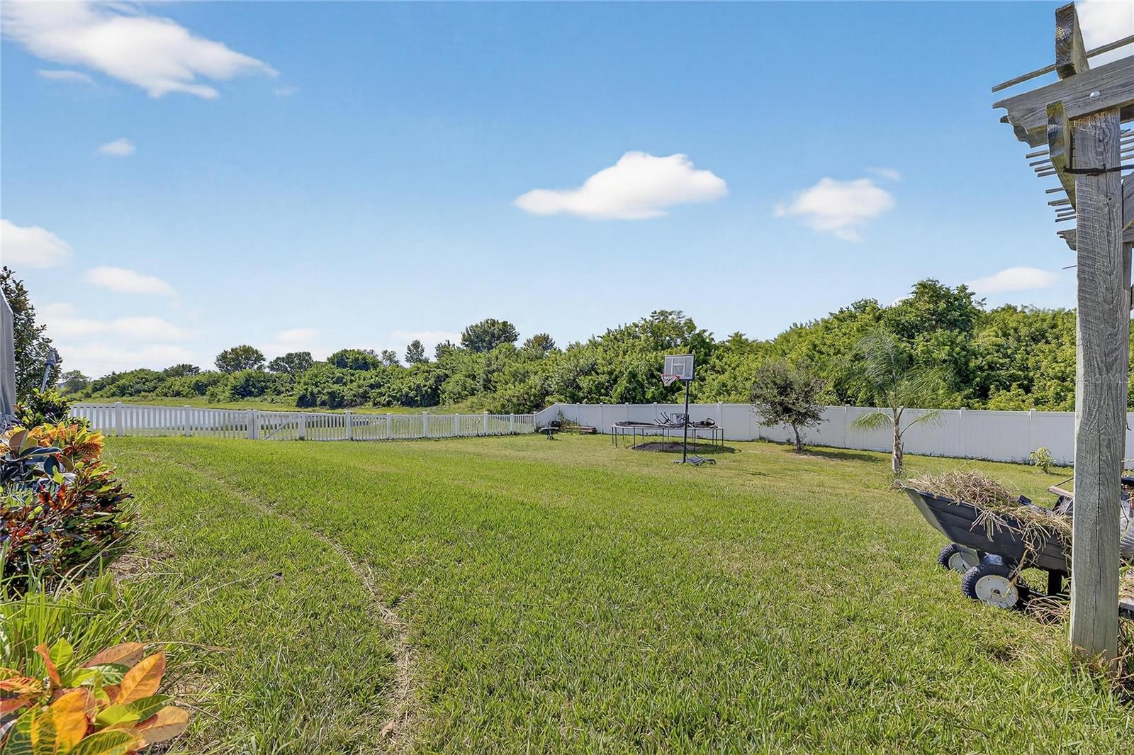 Image 28 of 31 For 13503 Wild Ginger Street