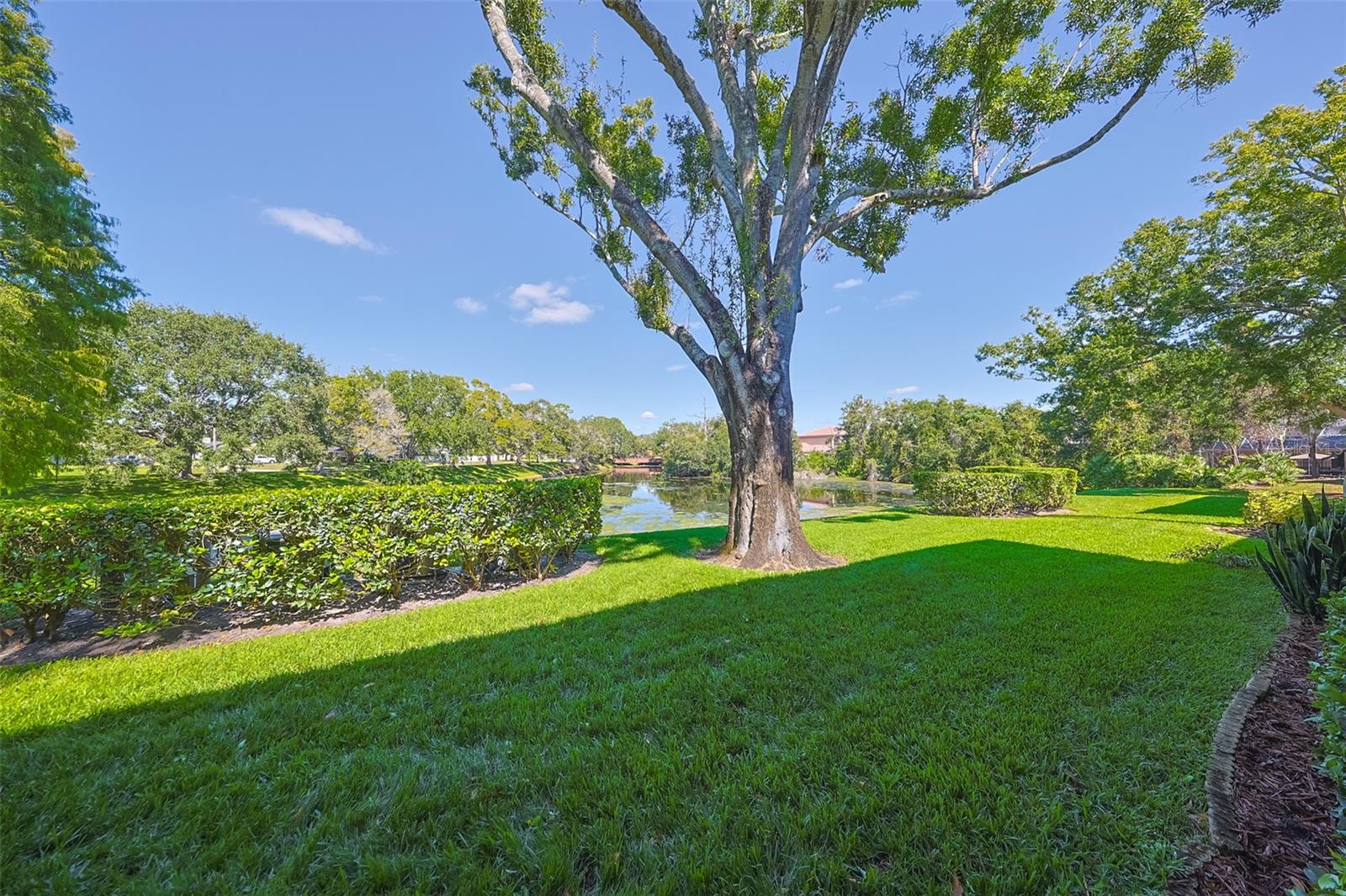 Image 31 of 43 For 3165 Landmark Drive 713