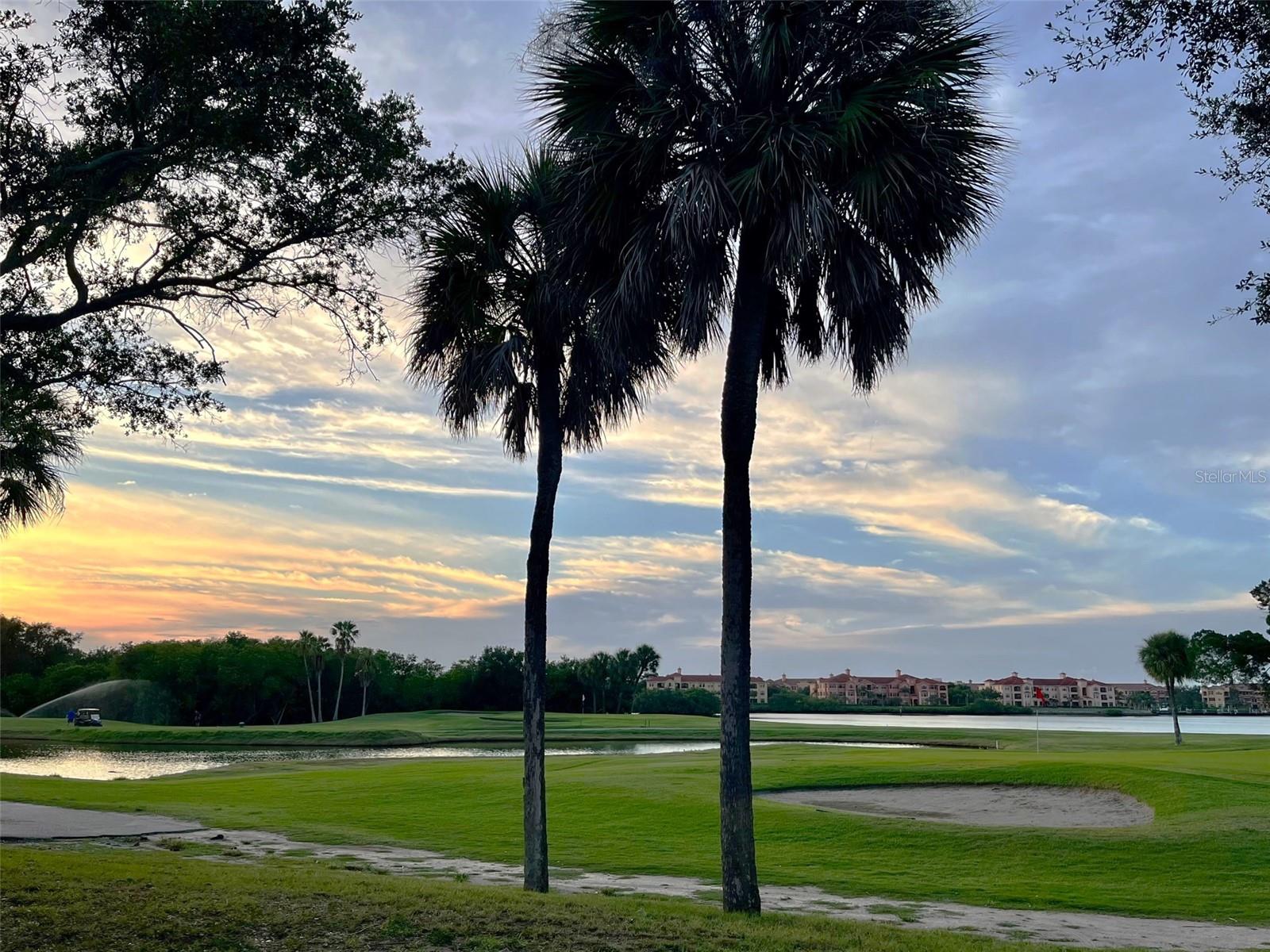 Image 65 of 71 For Address Not Provided