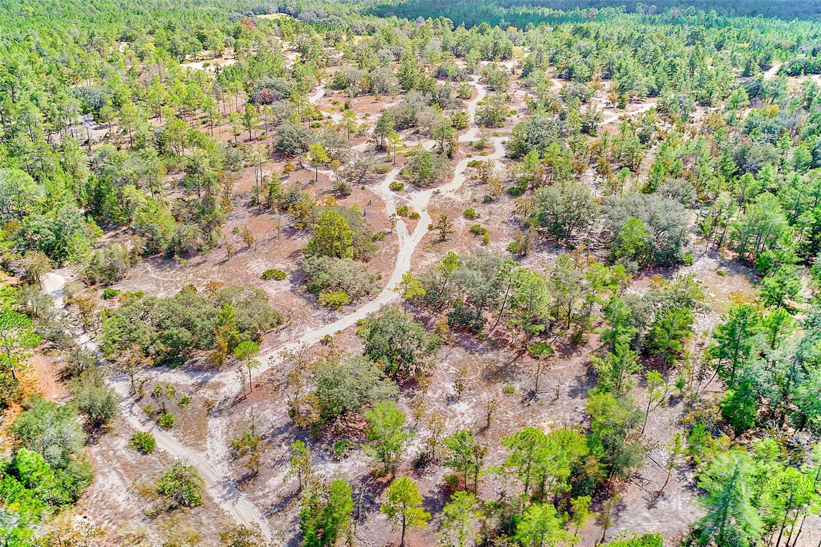 Image 53 of 83 For 4 Poppy Court