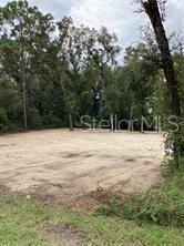 Listing Details for Smallman Street, WEBSTER, FL 33597