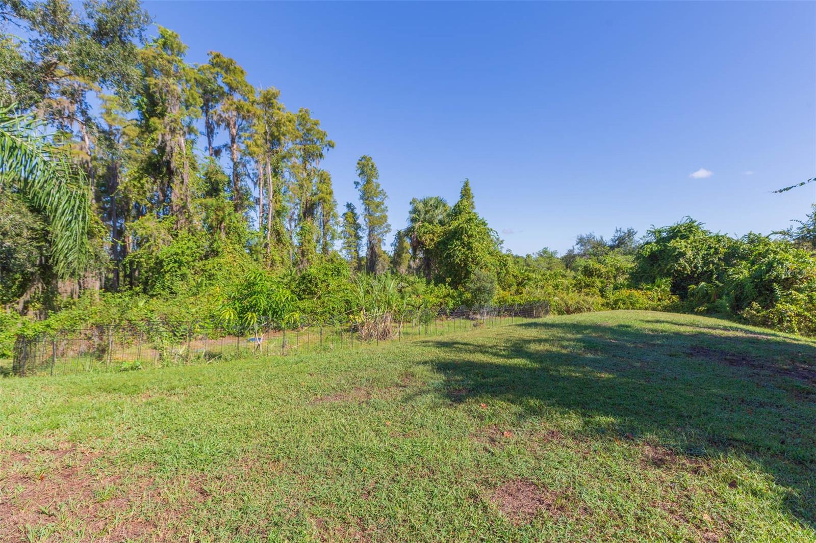 Image 50 of 66 For 10022 Oxford Chapel Drive