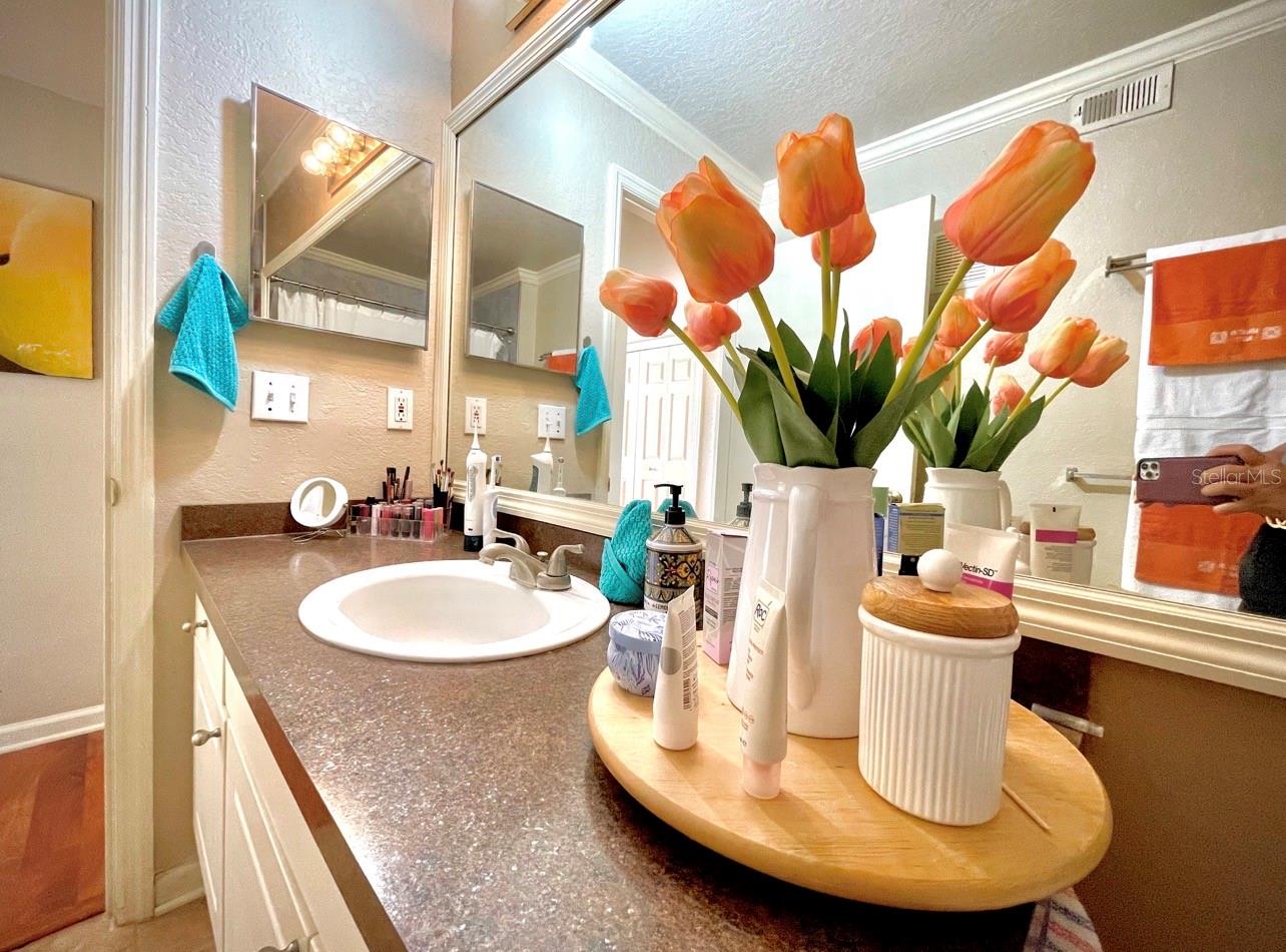 Image 16 of 20 For 18106 Peregrines Perch Place 5205