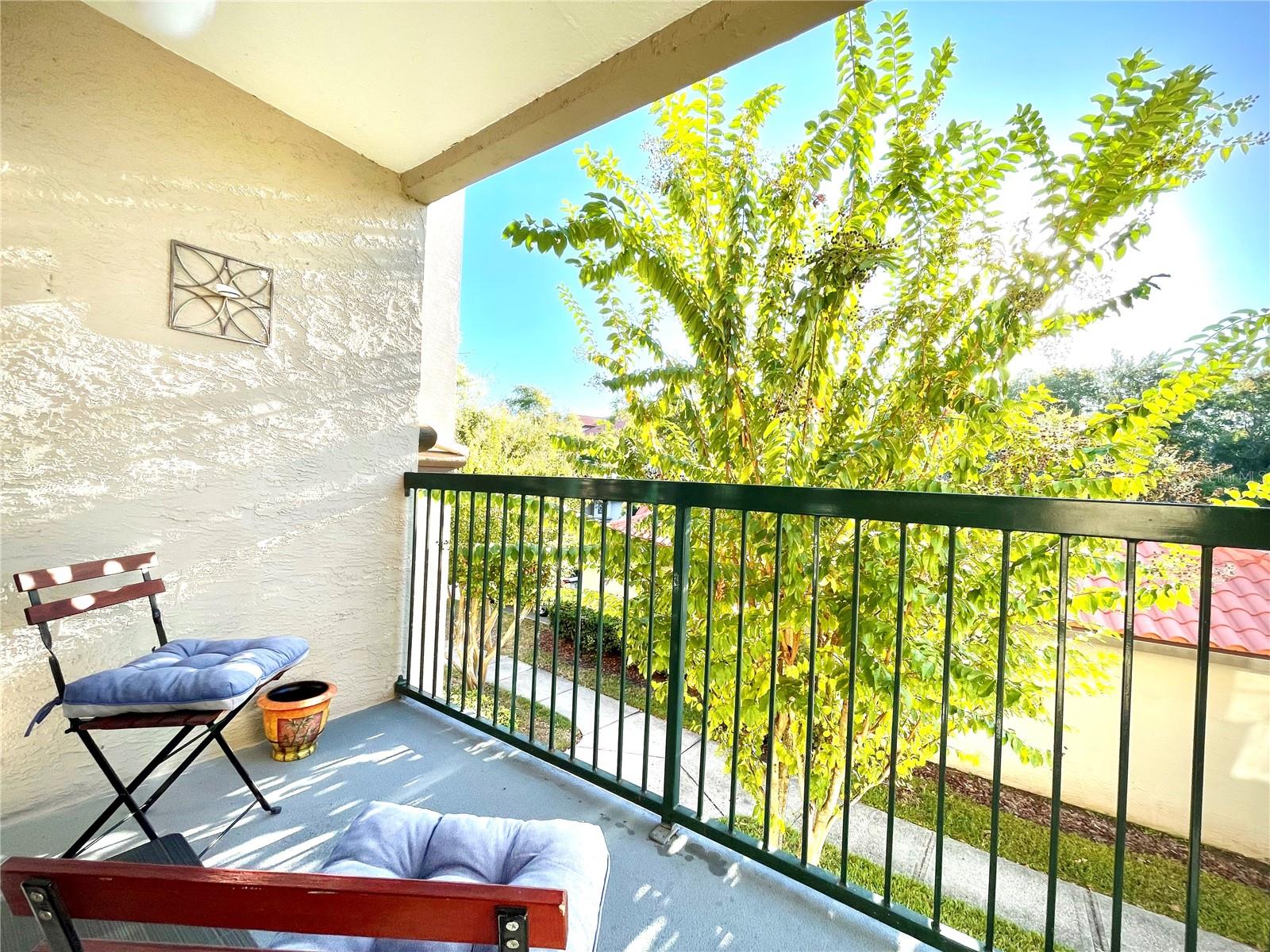 Image 3 of 20 For 18106 Peregrines Perch Place 5205