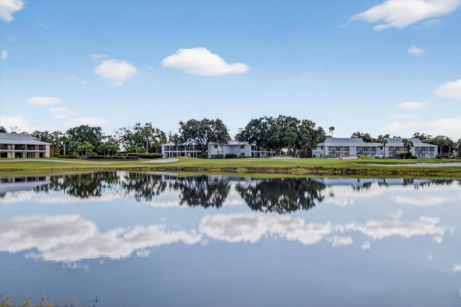 Image 26 of 36 For 29254 Bay Hollow Drive 3262