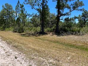 Image 5 of 15 For 918 Japonica Drive