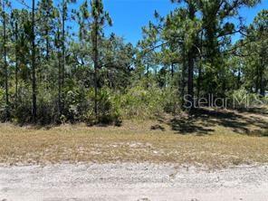 Image 8 of 15 For 918 Japonica Drive