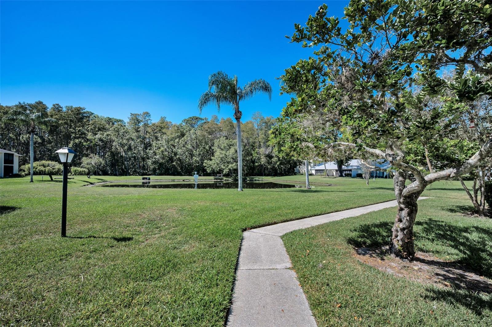 Image 30 of 76 For 1488 Pine Glen Lane B2