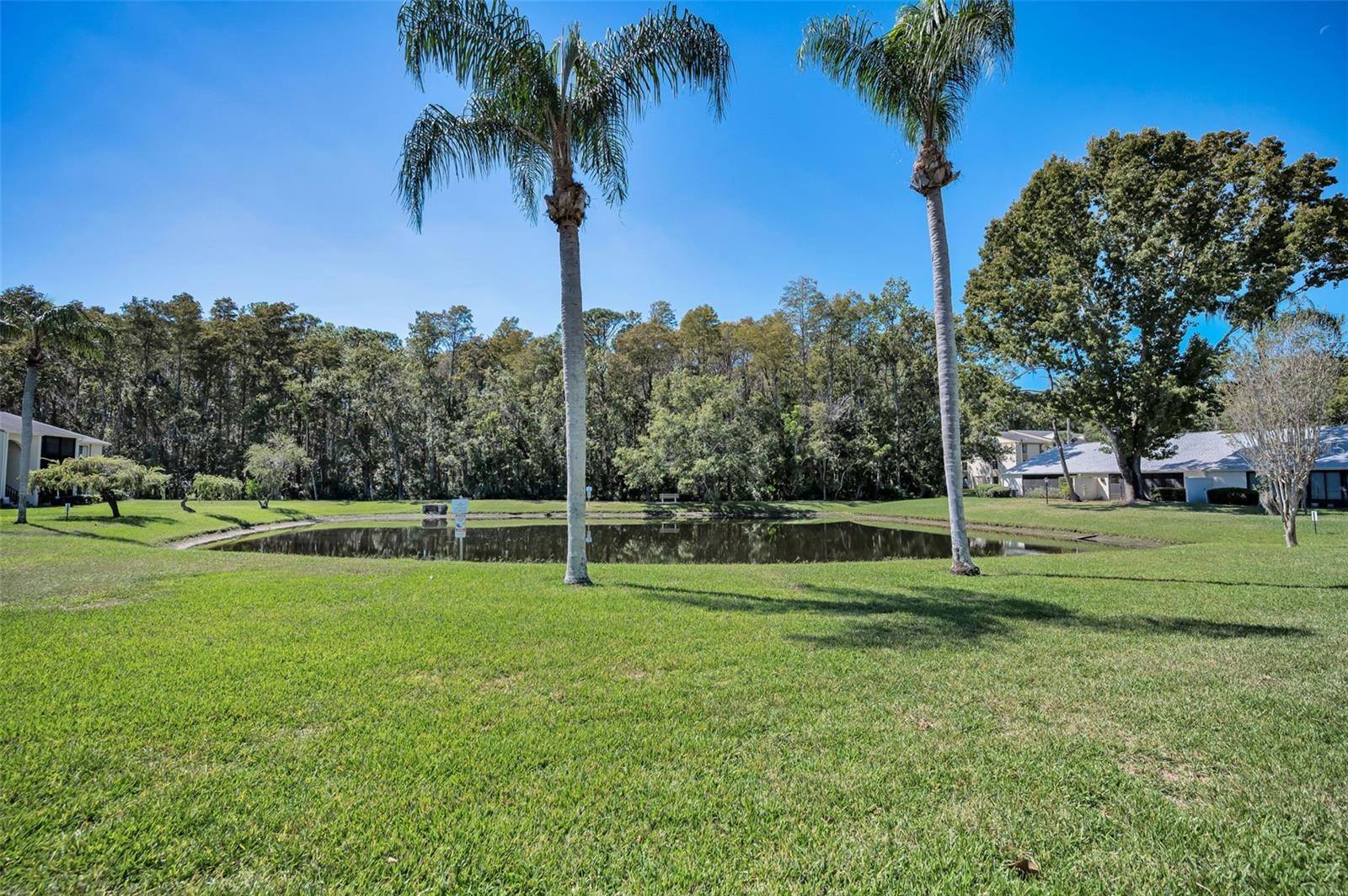 Image 31 of 76 For 1488 Pine Glen Lane B2