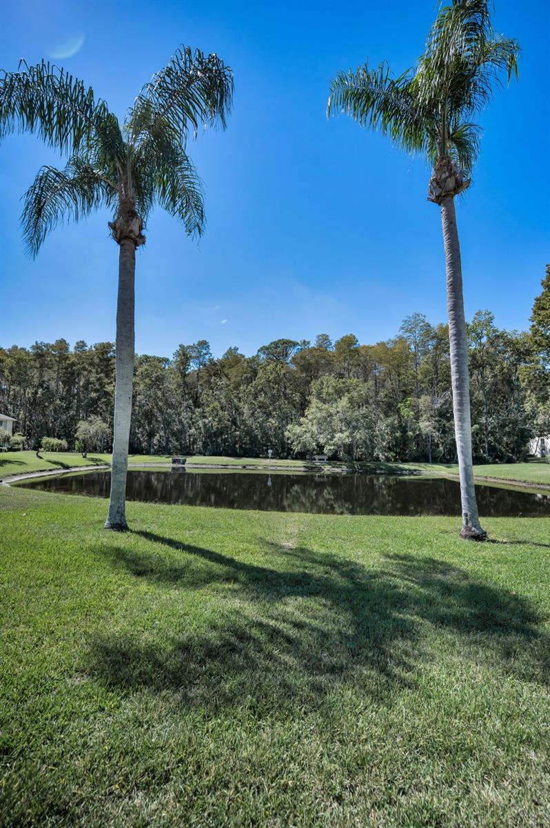 Image 32 of 76 For 1488 Pine Glen Lane B2